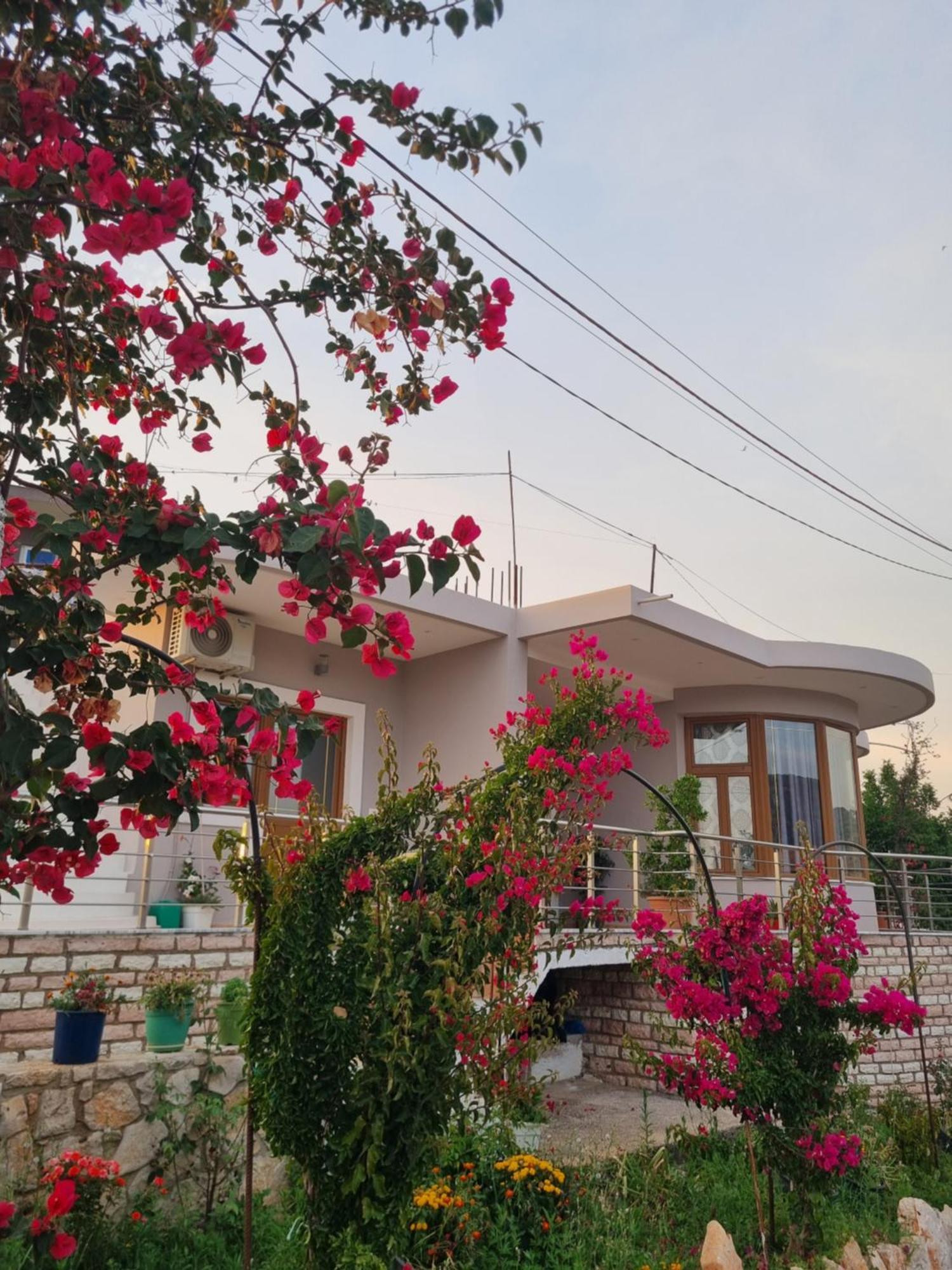 Apartman Besnik Brahimi *